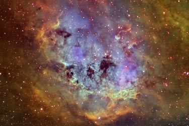 The Tadpoles in IC410