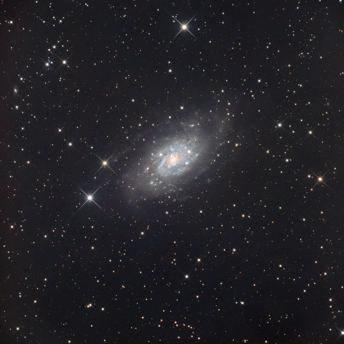 NGC2403, Galaxy in Camelopardalis