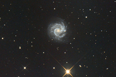 NGC 3184 Spiral Galaxy