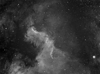 NGC 7000 in Cygnus