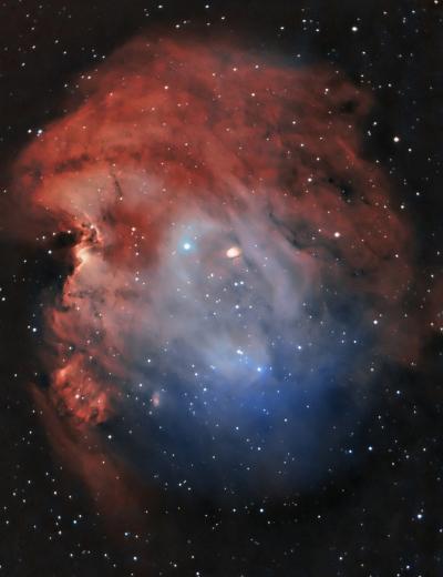 Une soixantaine dtoiles brillent dans l'amas ouvert NGC 2175 associ  la nbuleuse de la Tte de Singe (NGC 2174)