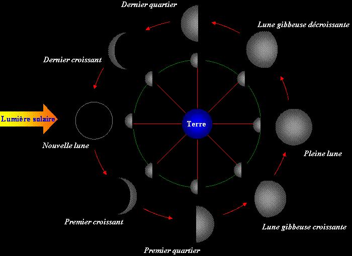 La Lune, au cours de sa rvolution autour de la Terre semble changer de forme. Ces phases rsultent des changement de position de notre satellite par rapport au Soleil. Tout le monde a dj observ ce phnomne. Il s'agit maintenant de le comprendre. Voila quelques positions particulires de la Lune le long de son orbite...