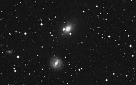 NGC 2305