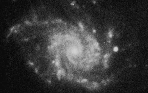 NGC 2942