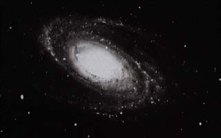 NGC 3031 (M81)