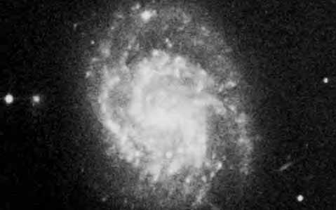 NGC 3686