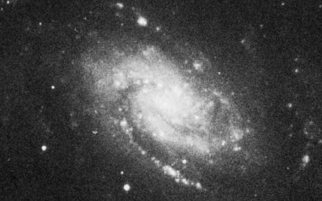 NGC 4504