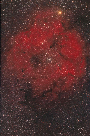 IC1396diapo.jpg (52208 octets)