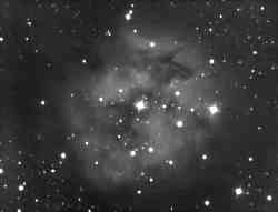 cocoon nebulae