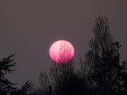 Le soleil en rose par Gérard