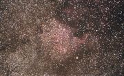NGC7000 Nébuleuse North América par Stéphane
