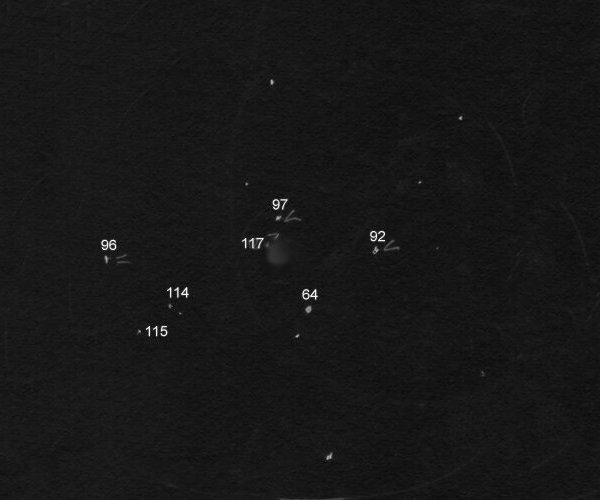 Cometa C/2002 O4 Hoenig 22:15 UTC