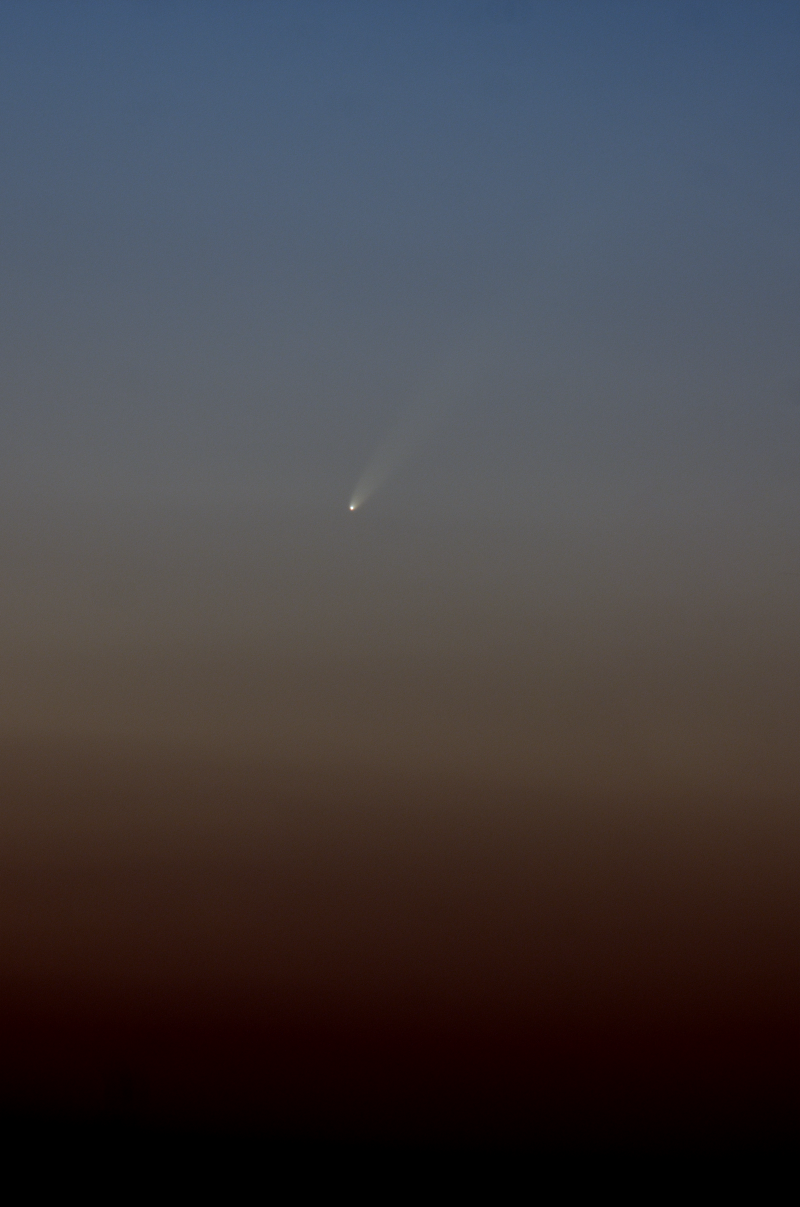 Cometa C/2006 P1 (McNaught)