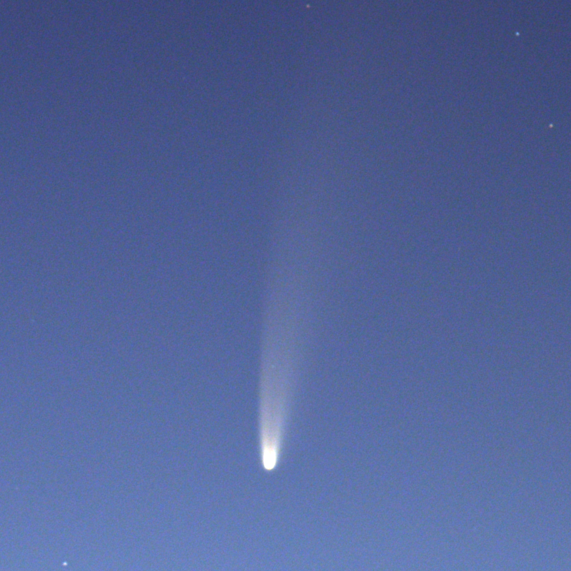 Cometa NEOWISE C/2020 F3