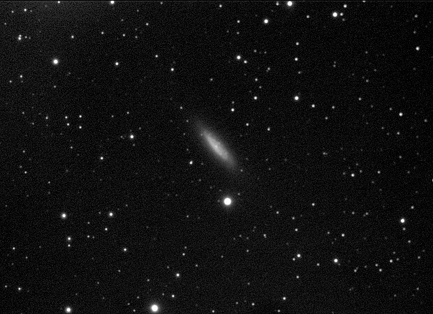 NGC 6503 