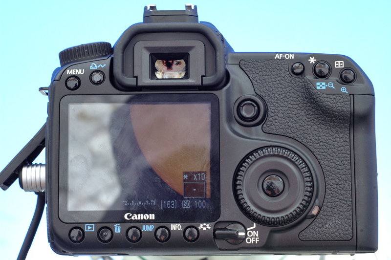 Canon 40D em "Liveview" zoom 10x no Sol 