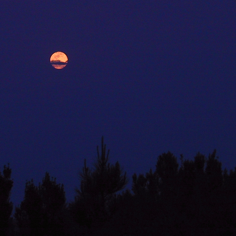 Lua Cheia a nascer 28-Março-2002 19:16 UTC