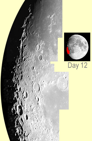 MOON - Day 12
