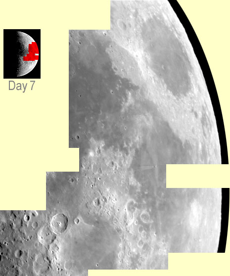 MOON - Day 7