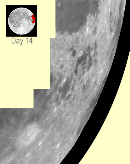 MOON - Day 14