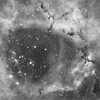NGC 2238
