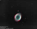 M57 - Nbuleuse Annulaire de la Lyre - [Nbuleuse Plantaire] - Mag. 8.8 - Lyre