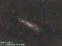M108 - [Galaxie] - Mag. 10.0 - Grande Ourse