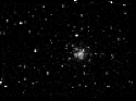 M56 - [Amas Globulaire] - Mag. 8.3 - Lyre