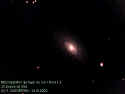 M63 - Galaxie Tournesol - [Galaxie] - Mag. 8.60 - Chiens de Chasse