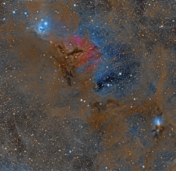 NGC1333 IC348