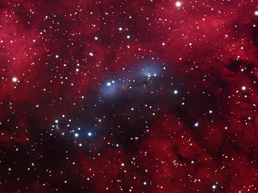 NGC 6914 crop