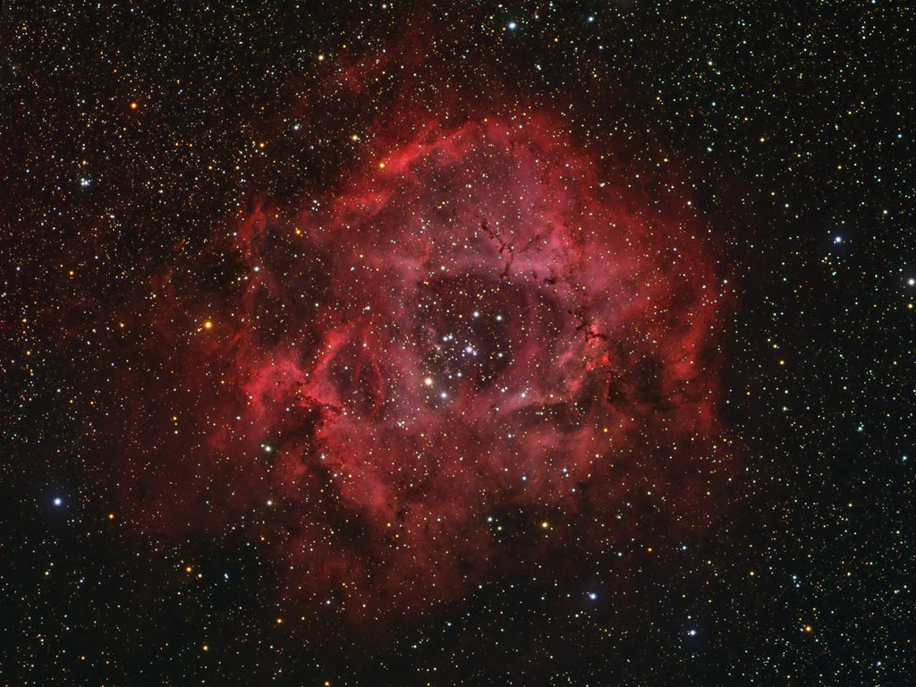 NGC 2237-39