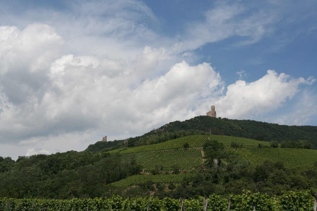 Châteaux_Ortenbourg_Ramstein