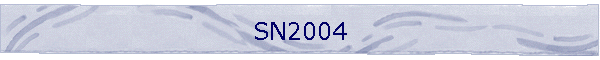 SN2004
