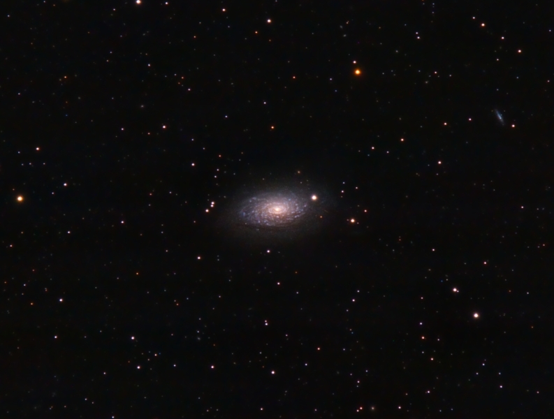 M63.jpg -          texto_bright       Object:M63   Date:11-05-2007       Observingsite: Observatory 16b, Àger   Telescope: TakahashiFSQ-106N  @ f/8 (EQ 1,6x extender)  on GM-8 mount   Camera: Canon20Da   Filters: none   Exposure:13 x 10 min ISO800. Total exposure: 2,1 h   Guiding: ATK-2HS on off-axis guider     Software:Guide K3CCDTools. Camera control: Images Plus. Processing: PixInsight   Comments:First image on new observatory. Camera start to show deep "dark river"problem    