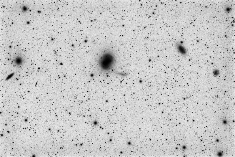 NGC4449_L_INV.jpg -          texto_bright    Object:NGC4449   Date:15, 16-05, 5, 11-06-2010   Observingsite: FNO (Fosca Nit Observatory, Àger)   Telescope: TakahashiTOA-150  @ f/7.3 on EM-400 mount   Camera:SBIG STL-11000M  @ -20C   Filters: Astrodon LRGB   Exposure:14 x 20 min L, 10 x 5 min R; 10 x 5 min G; 13 x 5 min B (binned 2x2).  Totalexposure: 2,8 h     Guiding: Camera guide chip     Software:Guide & camera control: CCDSoft. Processing: PixInsight Comment: Inverted luminance version   