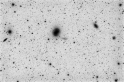 NGC4449_L_INV