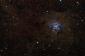 NGC7023_widefield