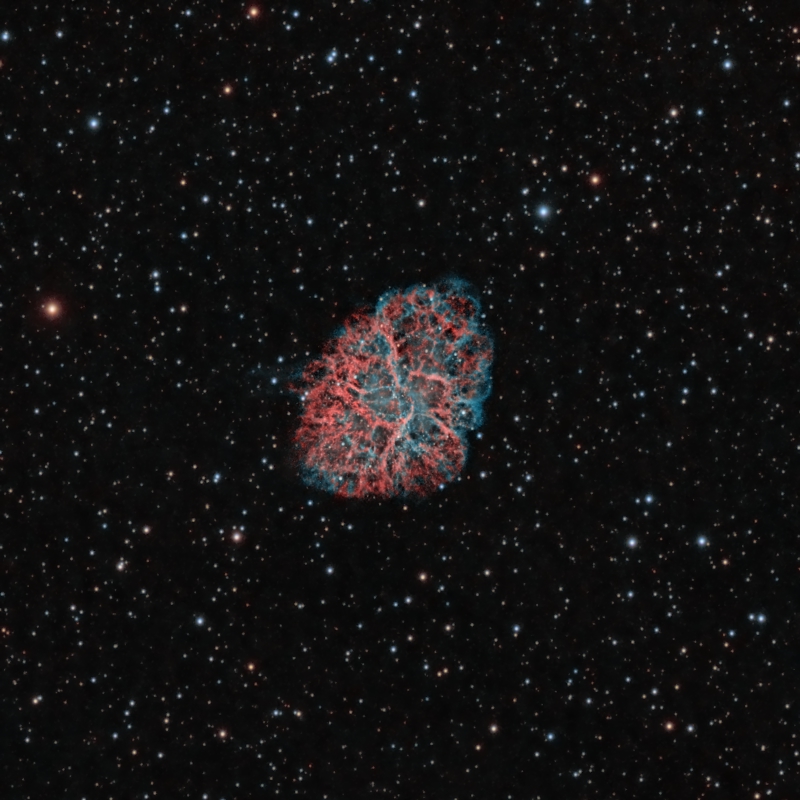 M31 detail