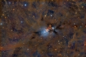 NGC1339