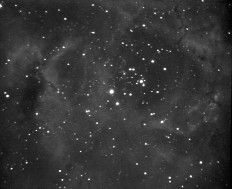 NGC2237 by Jordi Sese