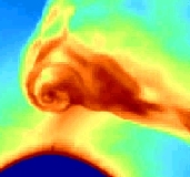 Simulation du disque d'accrétion formé par le vent stellaire d'une étoile Wolf-Rayet soufflant autour de son compagnon.