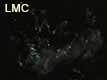 dessin galaxie LMC grand nuage de magellan