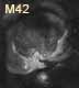 dessin grande nebuleuse d orion M42
