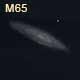 dessin galaxie M65