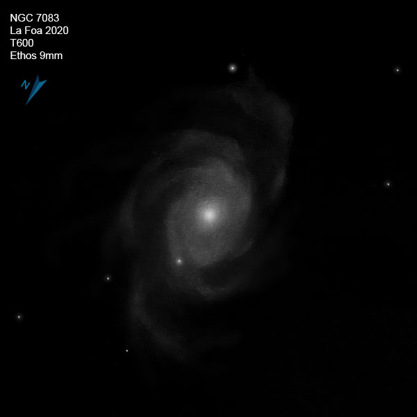 NGC7083_20.jpg