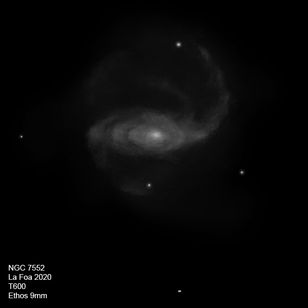NGC7552_20.jpg