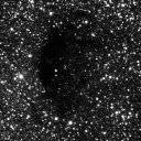 La nebulosa oscura Barnard 92