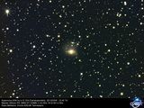 SN 2008hy in IC 334