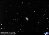 SN 2009h in NGC 1084